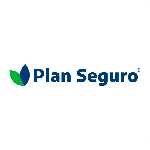 Plan seguro